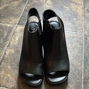 Elegant Black Women's Shoes